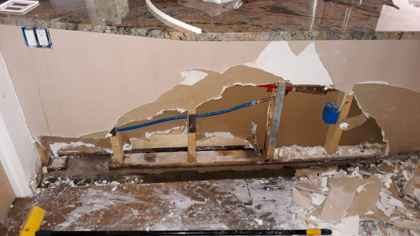 Best Water damage restoration company  in Lo, HI