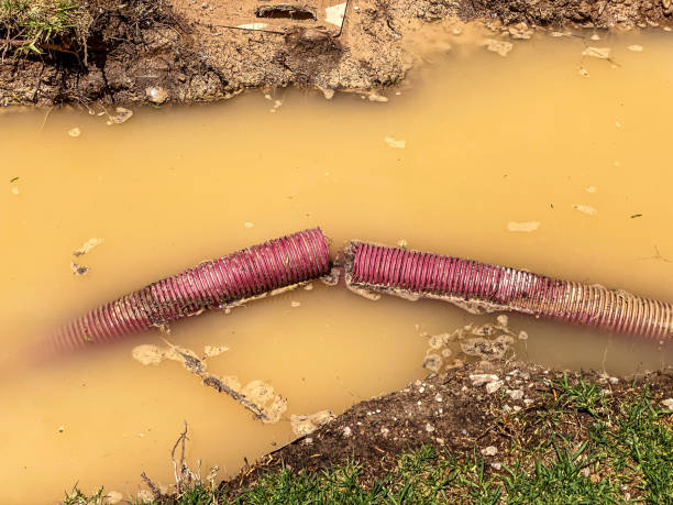 Best Water damage cleanup near me  in Lo, HI